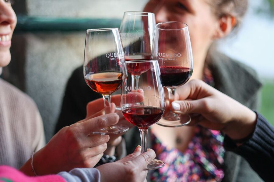 Vila Nova de Gaia: Port Wine Tasting with Cheese Pairing - Value in Plain Terms: Is 30 Dollars Worth It?