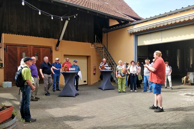 Visit and tasting of wines and cheese and charcuterie platter - Tasting Cellar: choose wines and pair them with cheese and charcuterie