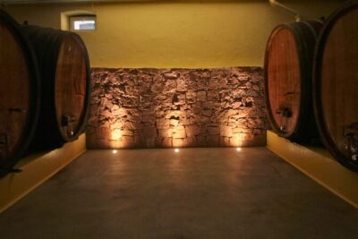 Visit and tasting of wines and cheese and charcuterie platter - Pressing Hall and Stainless Vats: how fermentation fits into the bigger story