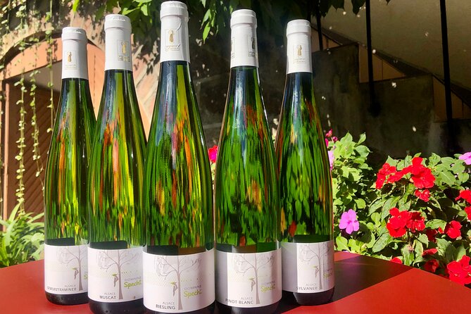 Visit and tasting of wines and cheese and charcuterie platter - Who should book this tasting in Alsace