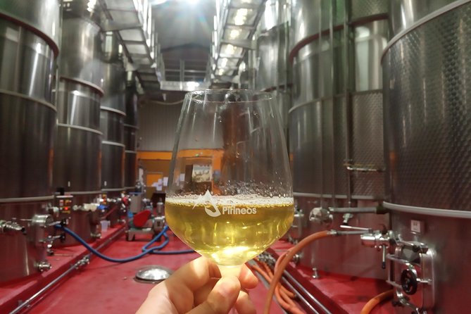 Visit and wine tasting with sausage and BODEGA PIRINEOS cheese - From grape entrance to underground bottle racks: the process tour