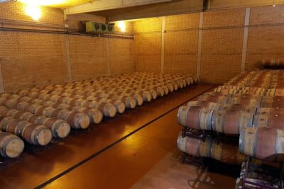 Visit and wine tasting with sausage and BODEGA PIRINEOS cheese - How the 1.5-hour winery walk works (and what you will see)