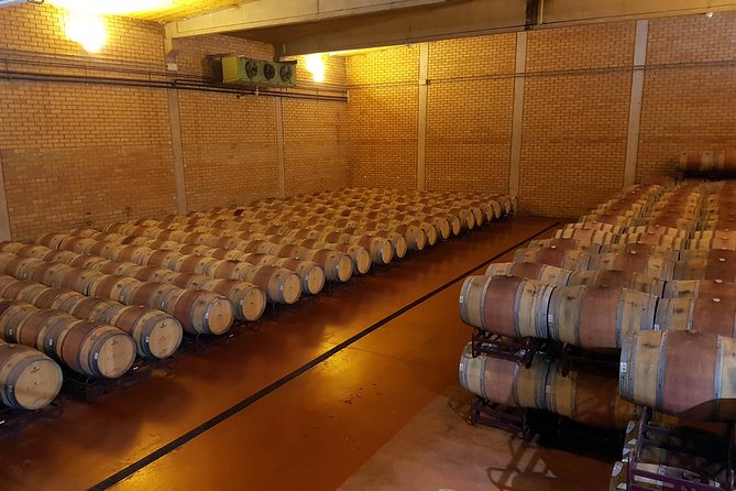 Visit and wine tasting with sausage and BODEGA PIRINEOS cheese - How the 1.5-hour winery walk works (and what you will see)