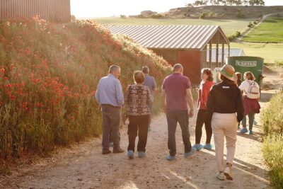 Visit La Antigua Cheese Factory (Cheese Tourism) - Meeting point and how to show up prepared