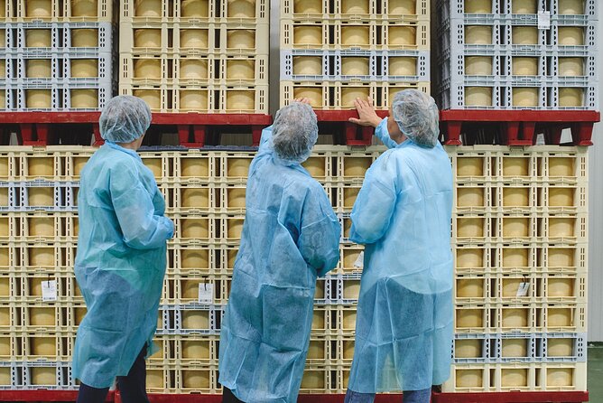 Visit La Antigua Cheese Factory (Cheese Tourism) - The tasting: two varieties, plus better habits
