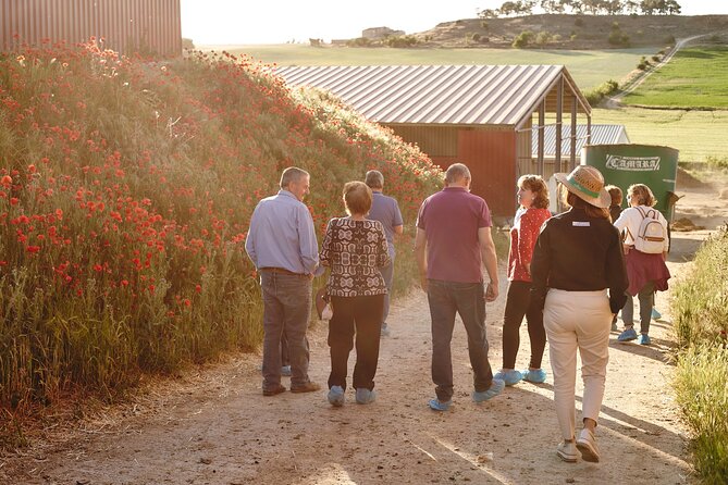 Visit La Antigua Cheese Factory (Cheese Tourism) - Meeting point and how to show up prepared