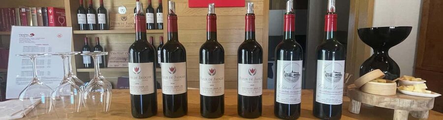 Visit to the property and wine/cheese pairing workshop - Language, guide style, and what to expect from the human side