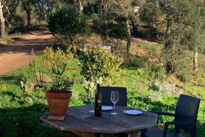 Walk in the Hills with Goat Herder-Local Honey, Wine and Cheese Tasting - Why Virginia and Josh’s family farm stories hit differently