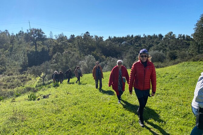 Walk in the Hills with Goat Herder-Local Honey, Wine and Cheese Tasting - Weather can make or break the plan