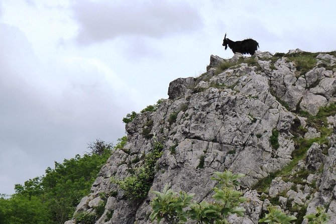Wells, Cheddar Cheese and Cheddar Gorge - Private Day Trip from Bath - Cheddar Gorge: the optional viewpoint walk and how to handle the terrain