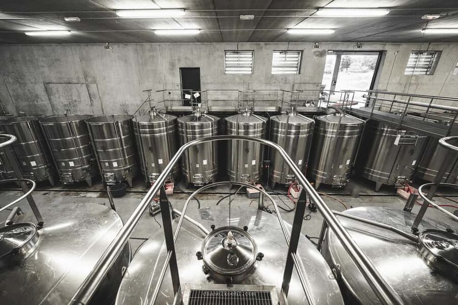 Wine and Cheese experience - A short vineyard walk around the cellar (and why it’s worth your time)