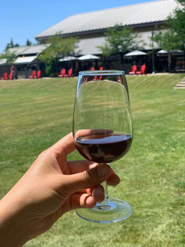 Wine & Cheese Afternoon Wine Tours in NOTL - How much wine you’ll actually taste (and why that’s a good thing)