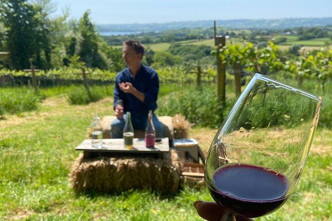 Wine & Cheese in the Somerset Valleys - with Michelin-star lunch! - Why this Somerset food-and-wine route makes sense