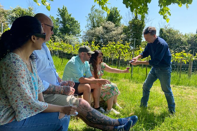 Wine & Cheese in the Somerset Valleys - with Michelin-star lunch! - Limeburn Hill vineyard near Chew Valley Lake: biodynamic wine 101