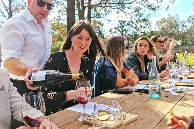 Wine & Cheese Tasting Experience in Hunter Valley - A Seated, Low-Stress Tasting at McCaffrey’s Estate