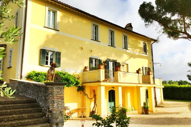 Winery tour and wine, cheese & charcuterie tasting - Visiting Madonna del Latte: a real winery stop outside Orvieto