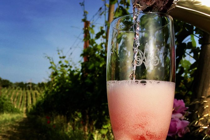 Winery tour and wine, cheese & charcuterie tasting - Getting there from Orvieto: plan your transport like a pro