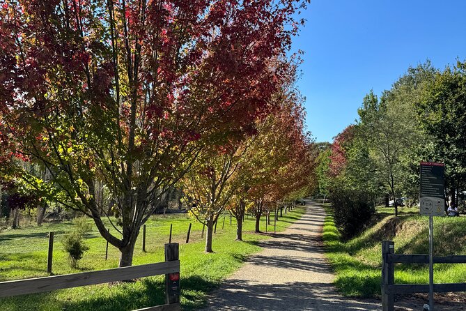 Yarra Valley Foodie Tour, Devonshire Tea, Cheese and Chocolate - Healesville Cheese-Monger Brunch: Five Cheeses Plus the Extras That Make It Feel Like a Real Meal