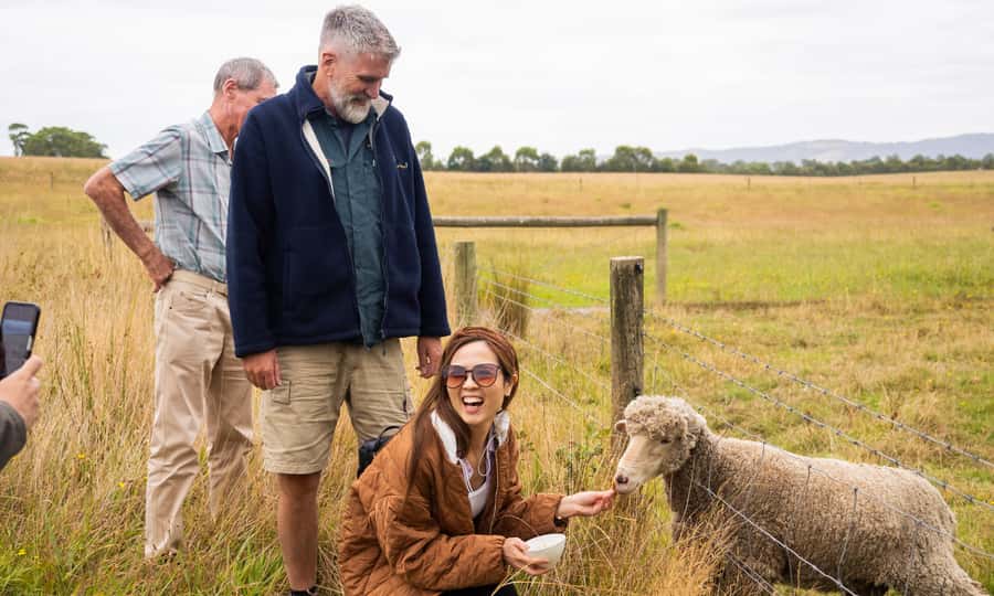 Yarra Valley Full Day Grazing Tour: Gin, Wine, Pizza, Cheese - Healesville Break: Monte Santo Coffee and 1 Hour on Your Own