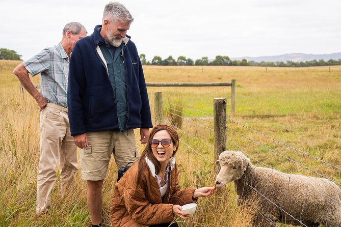 Yarra Valley Grazing Tour Wine, Cheese, Gin, Pizza from Melbourne - How the pacing really works (and how to plan your day)