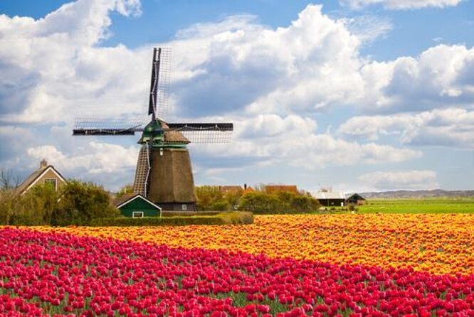 Zaanse Schans Windmills, Clogs and Dutch Cheese Small-Group Tour from Amsterdam - Zaanse Schans: The Shortcut to Classic Dutch Traditions